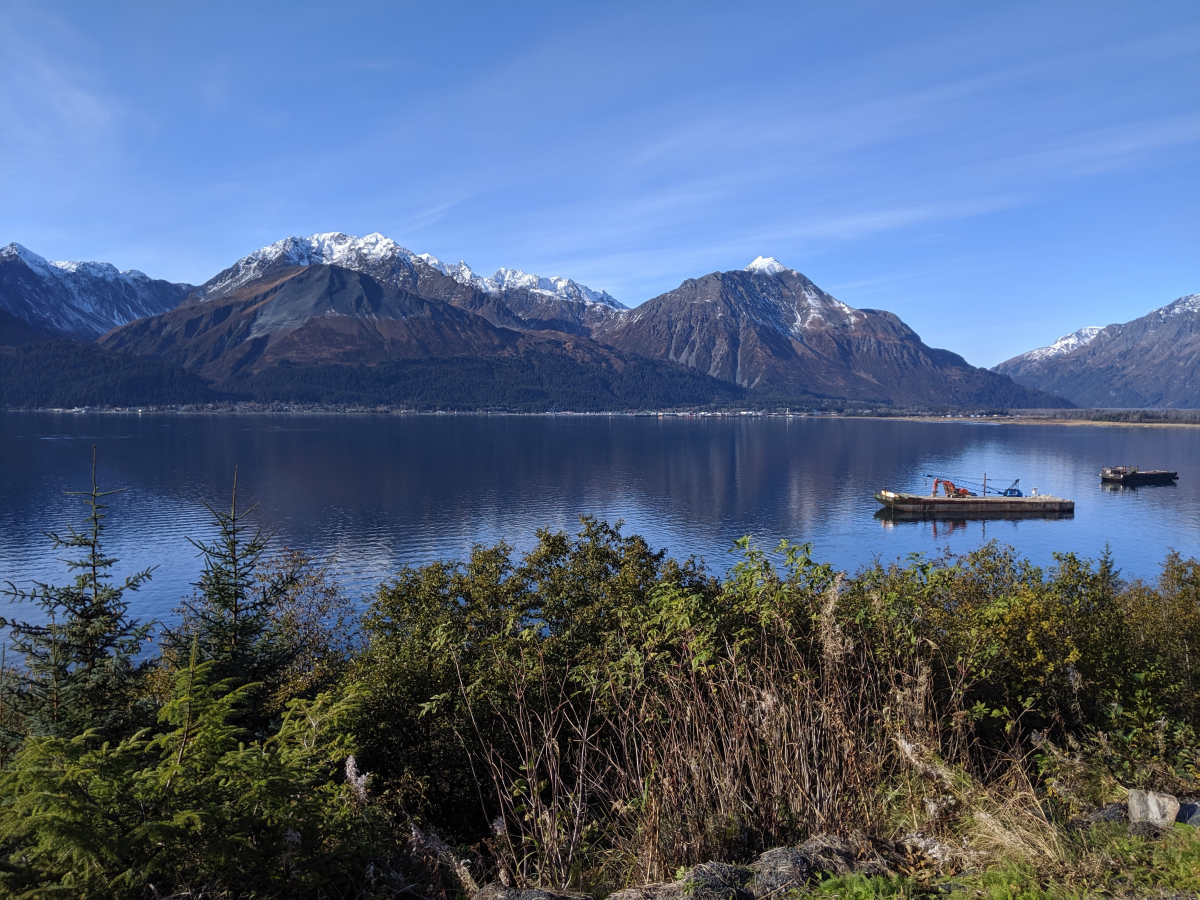 Seward Bayside View