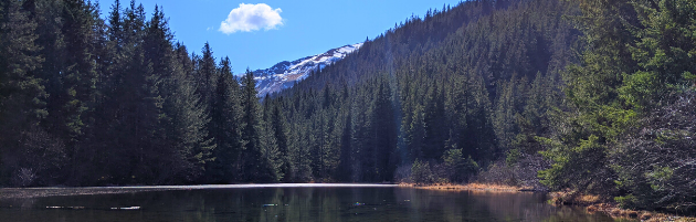 Two Lakes Park