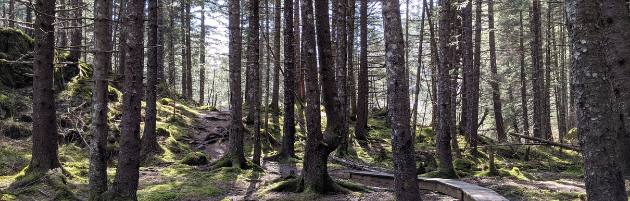 Two Lakes Trail